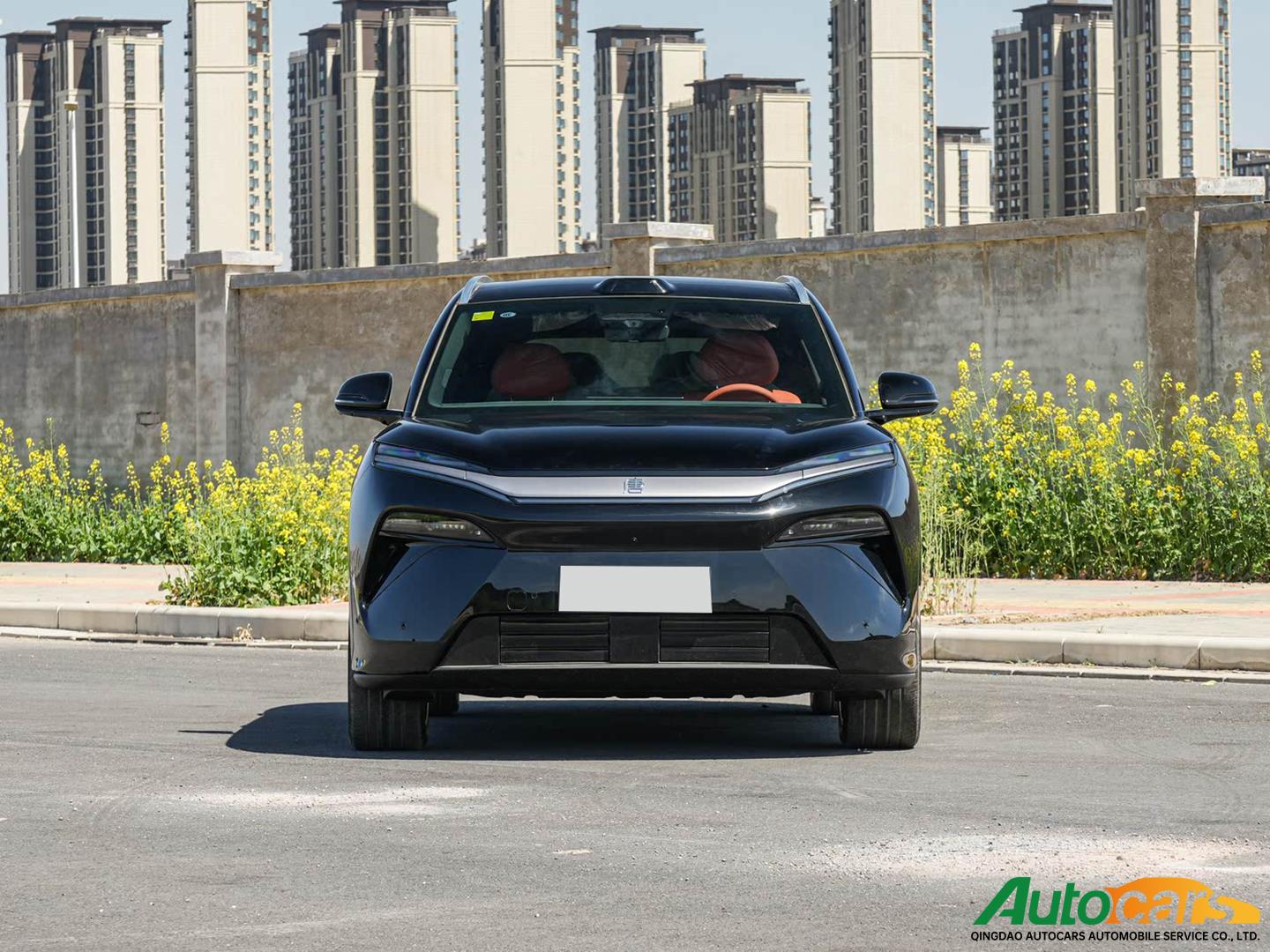 BYD Tang L 2025 EV 600km four-wheel drive LiDAR flagship model!