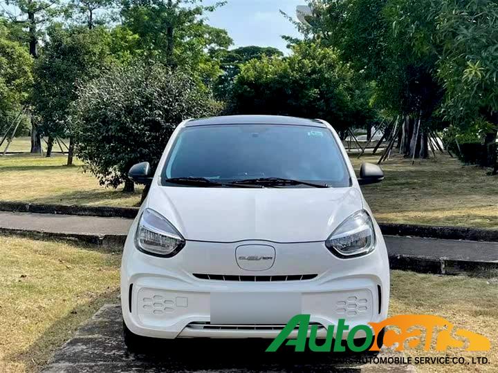 Roewe CLEVER 2022 311km Yuanqi Bobo Edition
