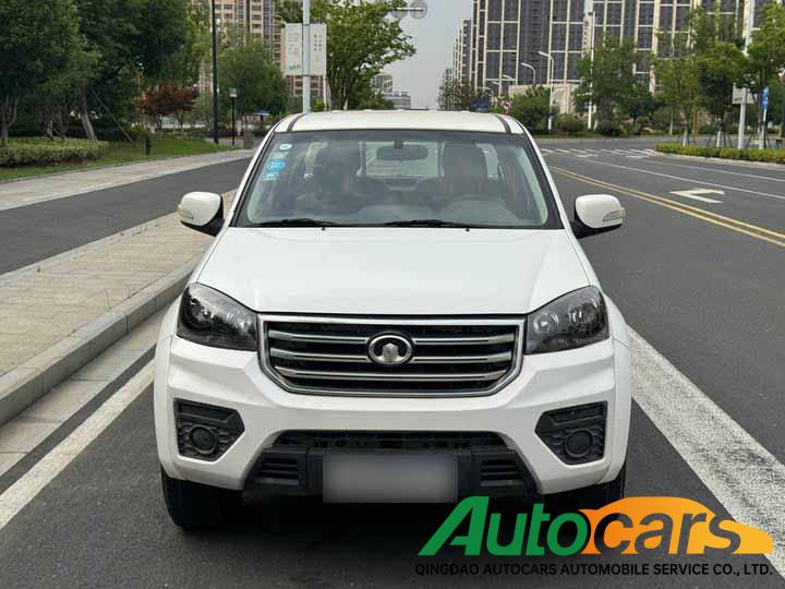 Great Wall Wingle 5 2020 model 2.4L gasoline two wheel drive elite large double row national VI 4K22D4M