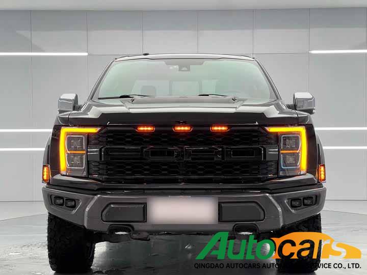Ford F-150 Raptor 2017 3.5T Raptor Performance Edition