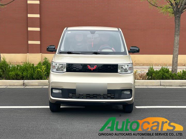 Wuling Binguo MINIEV 2020 Joyful Lithium Iron Phosphate