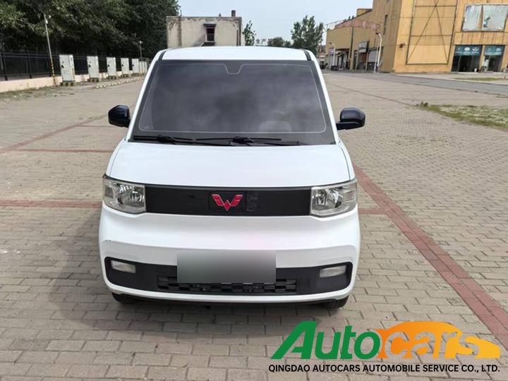 Wuling Binguo MINIEV 2020 Easy Lithium Iron Phosphate