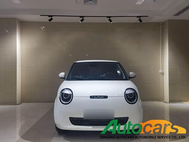 Chang'an Lumin 2023 205km Xiangqin model