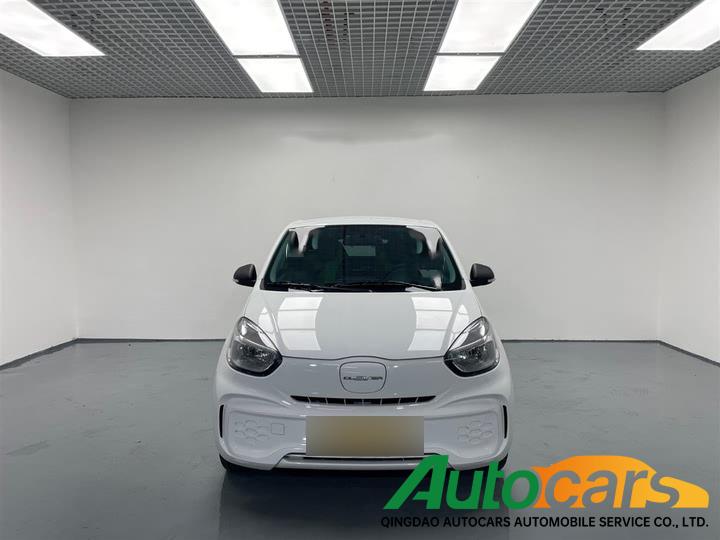 Roewe Chevrolet Clever 2021 302km New Four seater Super Energy Edition