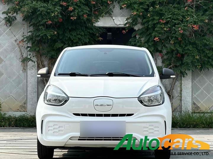 Roewe  Chevrolet Clever 2021 302km New Four seater Super Energy Edition