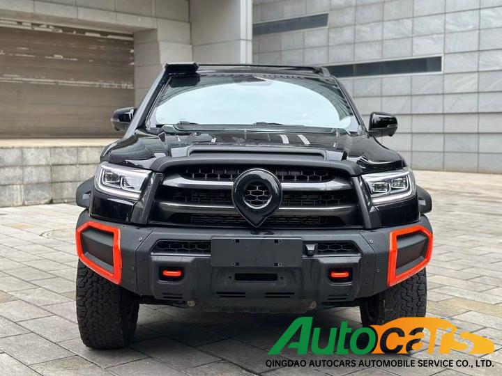 Pickup Poer 2022 2.0T Black Bullet Special Edition GW4C20G
