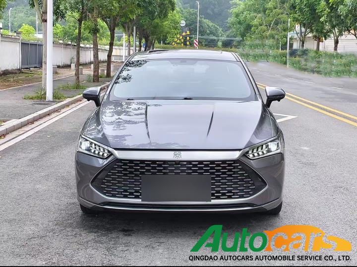 BYD Qin PLUS 2021 DM-i 55KM Flagship Model