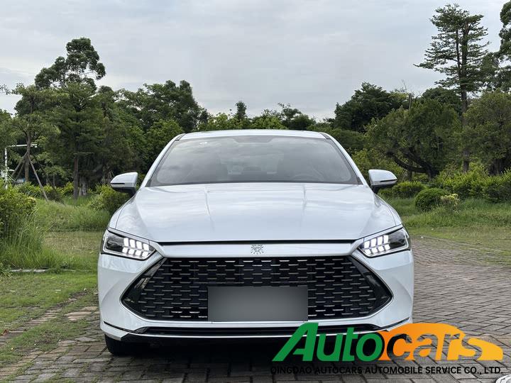 BYD Qin PLUS 2023 Champion Edition DM-i 120KM Superb
