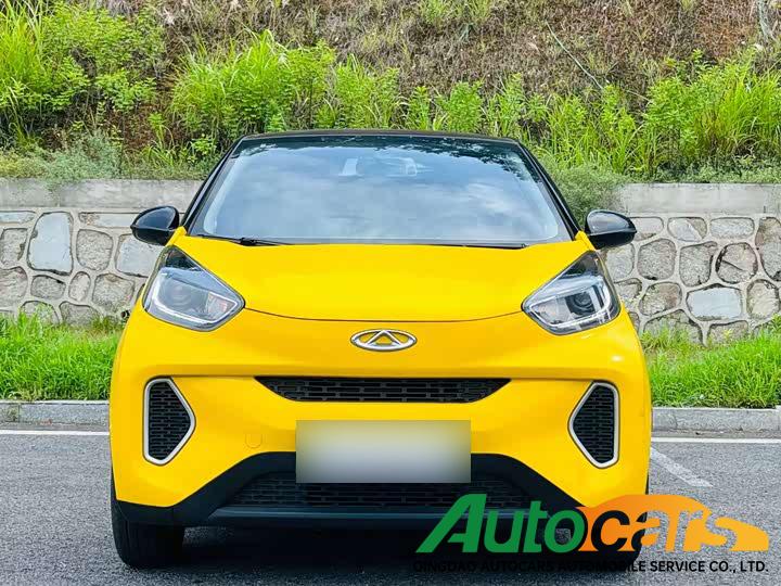 Chery New Energy EQ1 2021 200000 Ant Powder Vitality Edition Lithium Iron Phosphate 301km