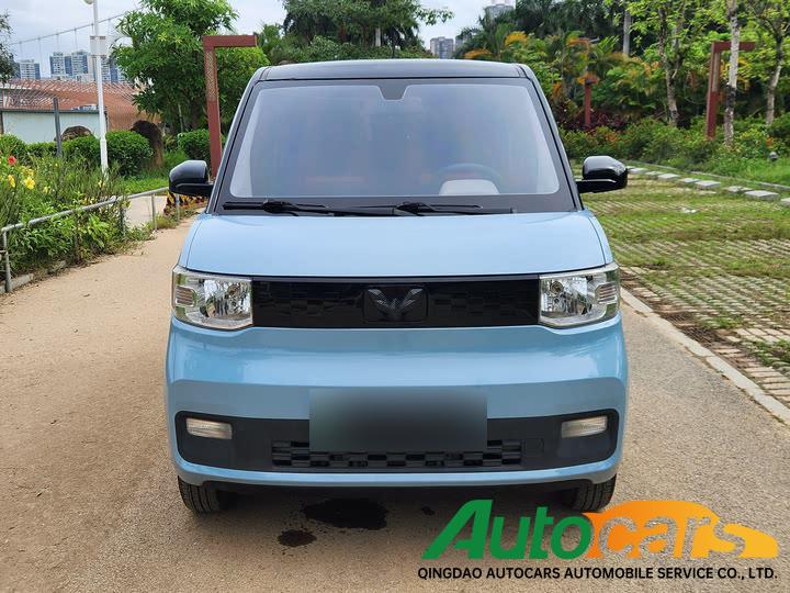 Wuling Binguo MINIEV 2020 Easy Three Element Lithium