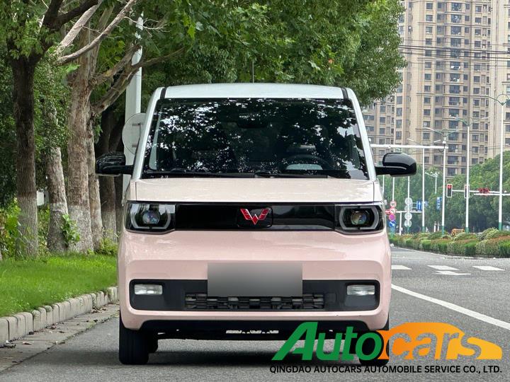 Wuling Binguo MINIEV 2021 Macaron Sandwich 170km Lithium Iron Phosphate