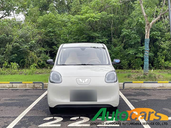 Wuling Binguo MINIEV 2025 Four door Advanced Edition