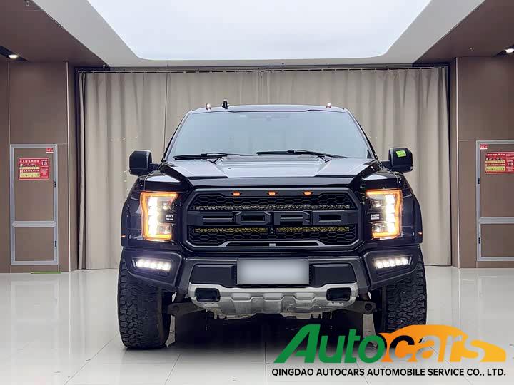 Ford F-150 Raptor 2019 3.5T Raptor Performance Enhanced Edition