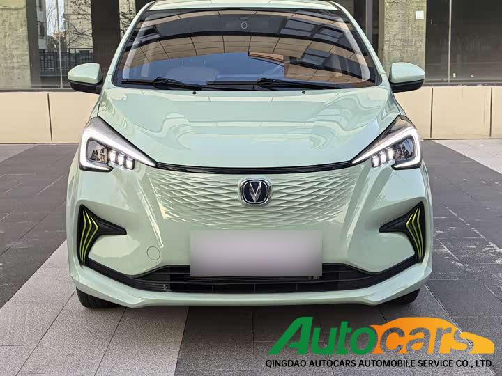 Chang'an Benben E-Star 2022 Enjoyment Edition Colorful Edition Lithium Iron Phosphate