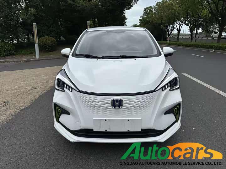 Chang'an Benben E-Star 2020 Xinyue Edition ternary lithium