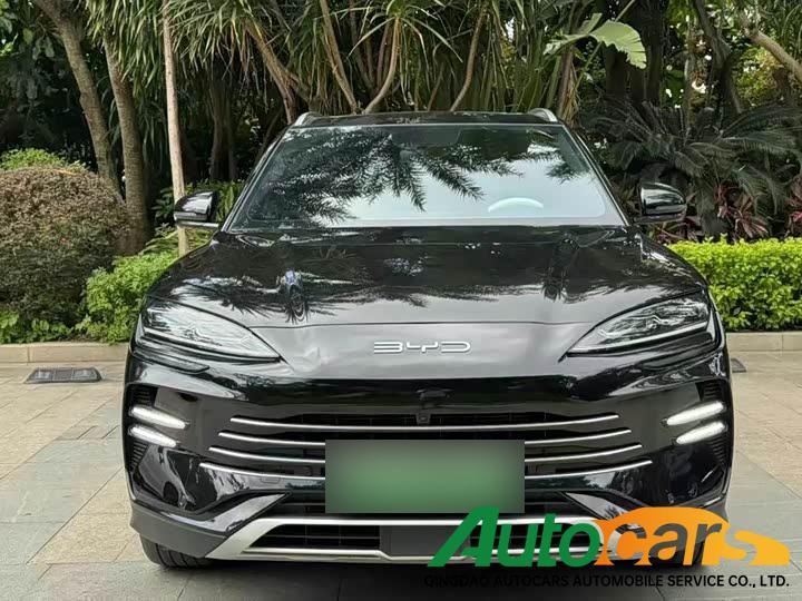 BYD Song PLUS New Energy 2024 Honor Edition DM-i 110km Flagship Model