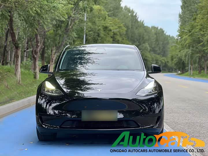 Tesla Model Y 2022 Rear Wheel Drive Edition