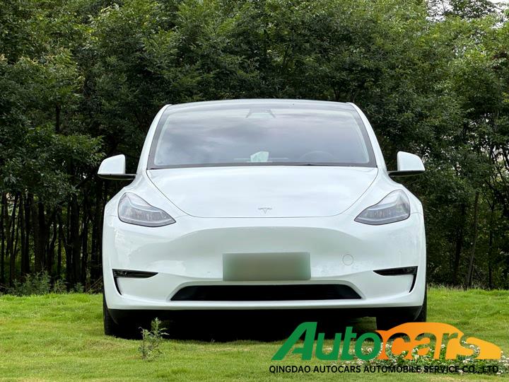 Tesla Model Y 2022 Performance High Performance All Wheel Drive Edition