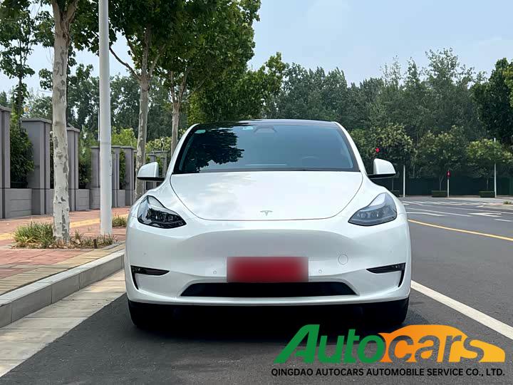 Tesla Model Y 2021 Long Range All Wheel Drive Edition