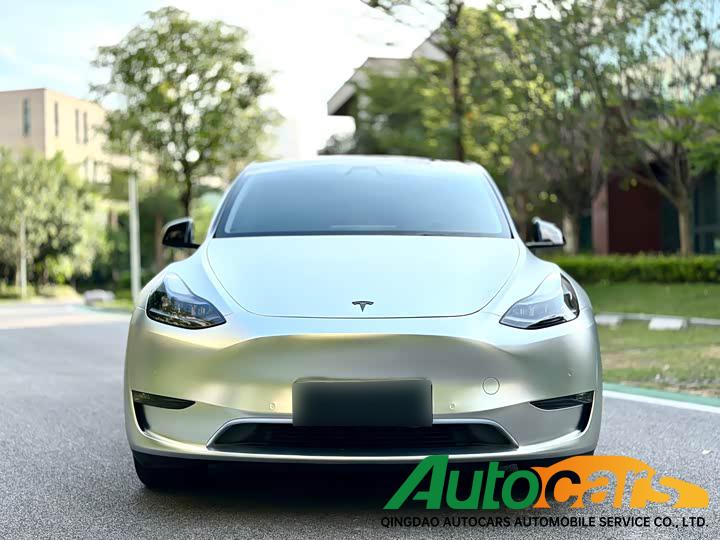 Tesla Model Y 2021 Standard Range Rear Drive Edition