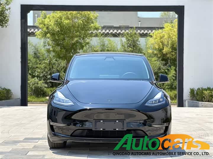 Tesla Model Y 2021 Standard Range Rear Drive Edition