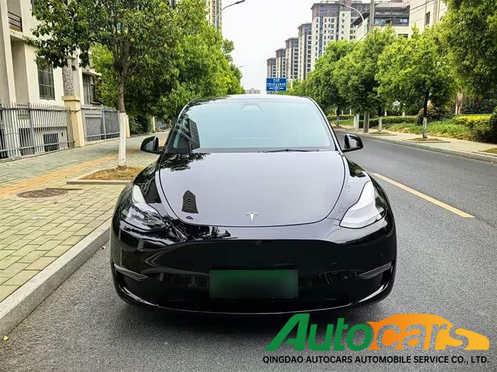 Tesla Model Y 2021 Standard Range Rear Drive Edition