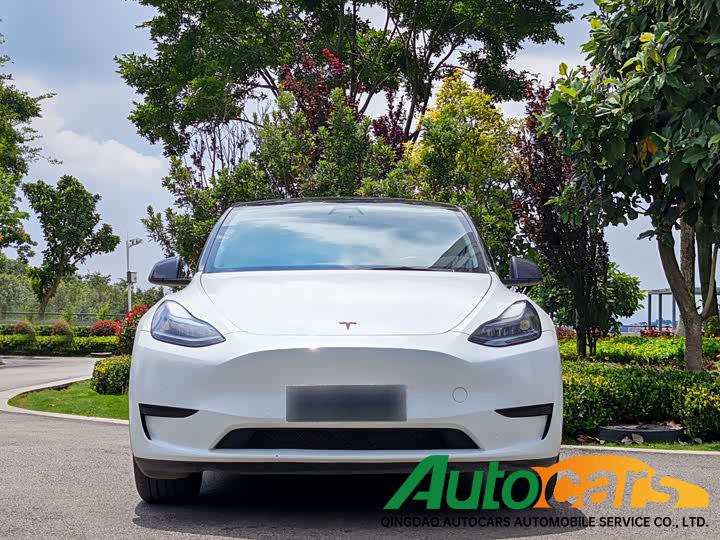Tesla Model Y 2022 Rear Wheel Drive Edition