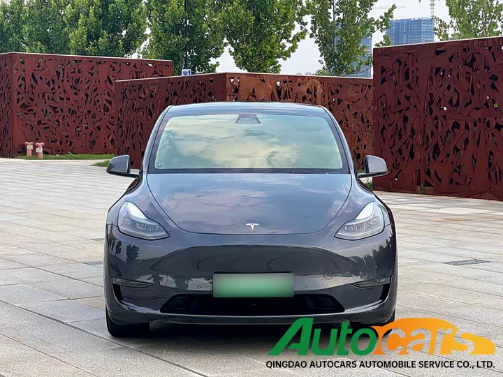 Tesla Model Y 2021 Long Range All Wheel Drive Edition