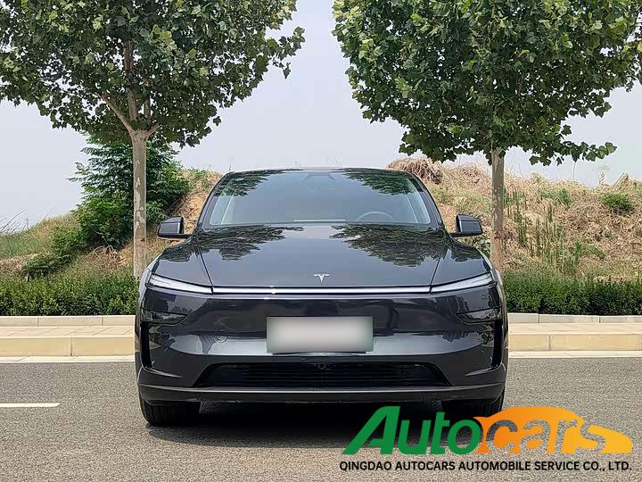 Tesla Model Y 2025 Rear Wheel Drive Edition