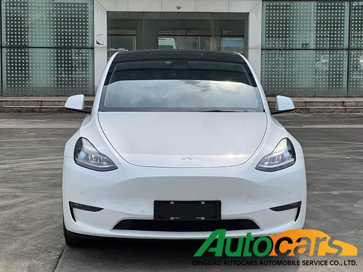 Tesla Model Y 2021 Long Range All Wheel Drive Edition